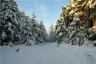 《黑神话》领衔！外媒总结首批虚幻5引擎打造的游戏